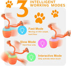 Interactive Dog Toy, Motion Activated Rolling Squeaky Ball - Image 3