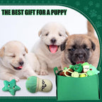 Abbylike 50 Pcs Puppy Supplies Starter Kit - Image 7