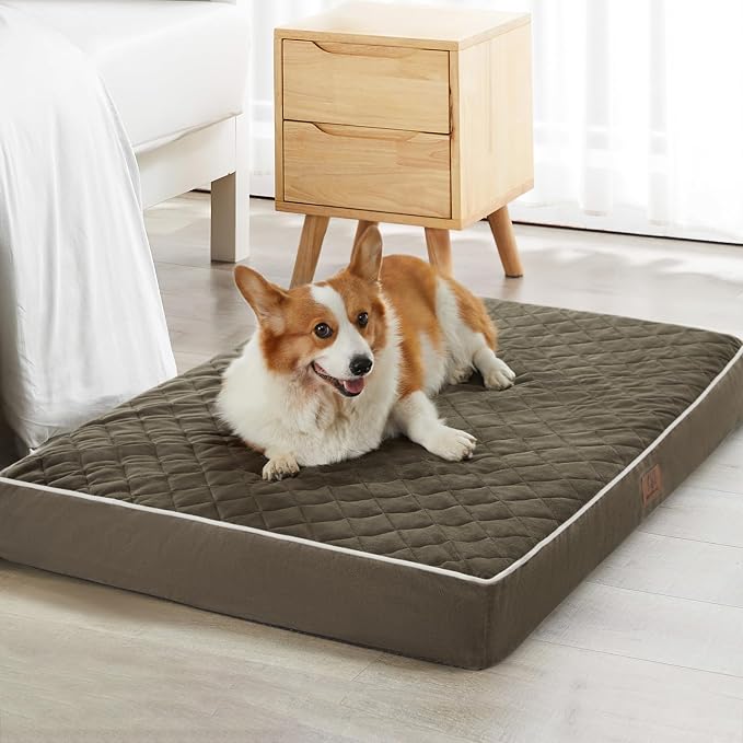 WNPETHOME Orthopedic XXL Dog Beds Large Sized Dog, Waterproof Extra Large Dogs by WNPETHOMEPETSHOME