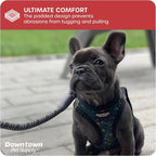 Downtown Pet Supply Step-in Dog Harness – No Pull, Adjustable Padded Mesh - Image 6