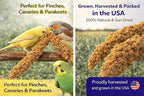 1lb Millet Tips & Tails for Birds - Image 3