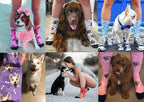 MyPupSocks Custom Personalized Photo Pet Face Socks, Cat and Dog Tracks Paws - Image 7