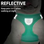 PUPTECK Adjustable Dog Harness Collar and Leash Set Step in No Pull Pet Harness - Image 5