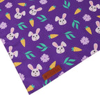 ADOGGYGO Easter Dog Bandana 2 Pack, Bunny Carrot Print Triangle Pet Scarf - Image 6