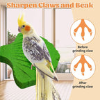 3 Pcs Parrot Perch Resin Bird Beak Grinding Stone Leaf Shape Perch Stand Foot - Image 5