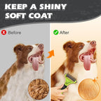 3PCS Pet Grooming Rake & Metal Comb & Flea Comb - Image 6
