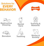 Nylabone Customer Favorites Power Chew Toy Bundle - Image 7
