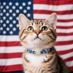 4th 0f July Cat Collar, Summer Baseball Blue Cat Collar - Image 4