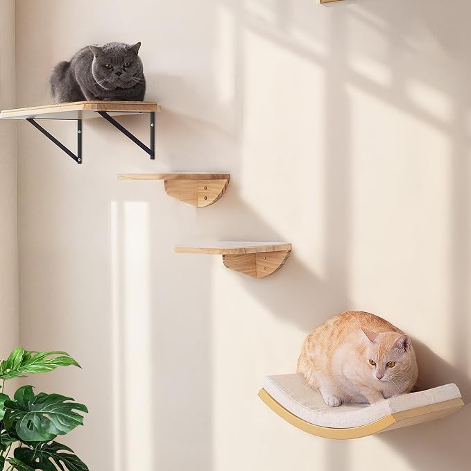 Cat Wall Shelf & Window Perch Combo, Wood Cats Wall Furniture by PELUOMOZ