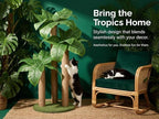 31.5Inch Cat Scratching Post, Cat Scratcher Tree - Image 4