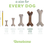 Benebone Bacon Stick Real Wood Durable Dog Chew Toy, Made in USA - Image 4