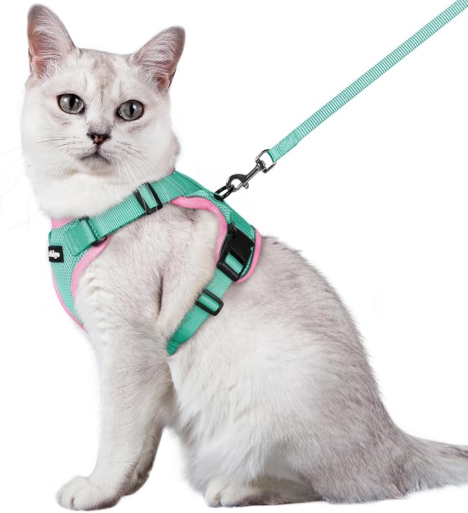 rabbitgoo Cat Harness and Leash by rabbitgoo