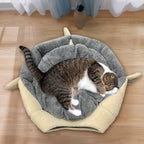 Cat Beds for Indoor Cats - Image 7