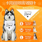 My Parents are Getting me a Human, Pregnancy Announcement Dog Bandana, Gender - Image 3