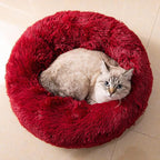 Cat Beds for Indoor Cats - Image 6