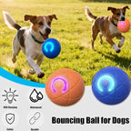 Valentines Day Gifts Dog Balls Interactive Dog Toys 2pc Shaky Ball Toy - Image 3