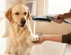 G-Promise 3 Mode Dog Shower Attachment - Image 8
