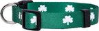 Native Pup St Patricks Dog Collar- Saint Patrick Green Shamrock Pet Collars- - Image 2
