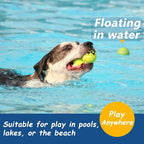 Tennis Balls for Dogs - Image 6