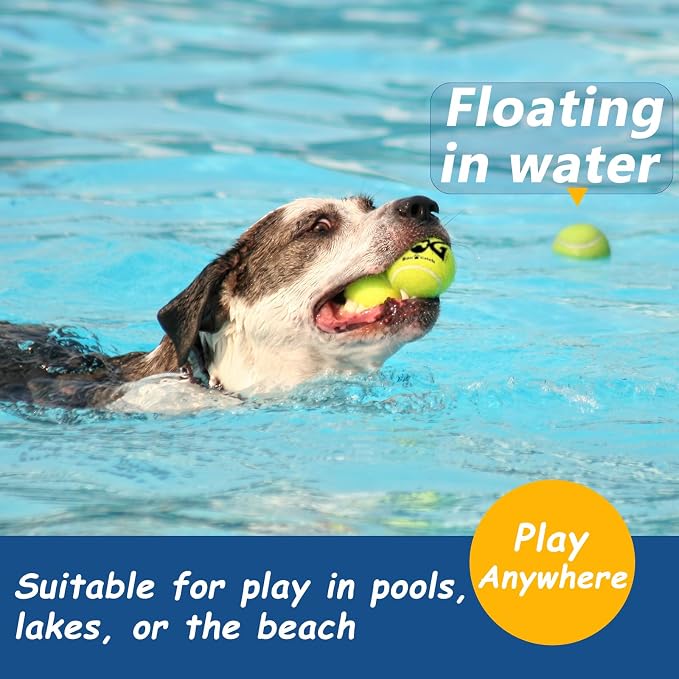 Tennis Balls for Dogs - Image 4