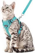 Cat Harness and Leash Escape Proof Medium Kitten Harness Bengal Cat Vest by pangdi