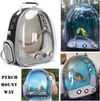 Bird Traval Carrier Cage, Vet Transport School Bag - Image 5