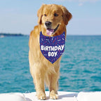 Birthday Boy Dog Bandanas 1 Pack, Pet Scarves - Image 3