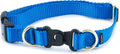 PetSafe KeepSafe Collar for Dogs by PetSafe