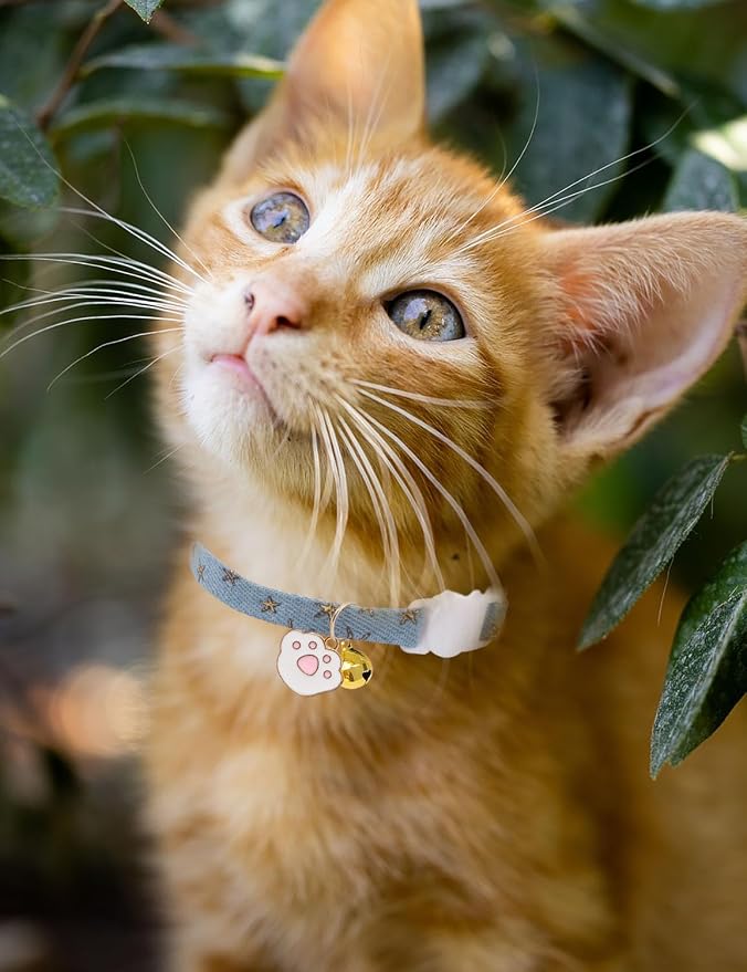 Cat Collar Breakaway with Bells, 3 Pack Safety Adjustable Pet Collars - Image 4