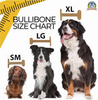 Bullibone Nylon Dog Chew Toy for Aggressive Chewers - Image 7