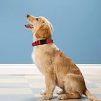 Reflective Dog Collar, Adjustable Soft Neoprene Padded Nylon Pet Collars - Image 2