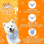Big Brother Dog Bandanas, Pet Dog Triangle Scarf - Image 4