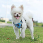 YIMEIS Dog Harness and Leash Set, No Pull Soft Mesh Pet Harness, Reflective - Image 5