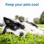 The Green Pet Shop Cool Pet Pad - Image 2