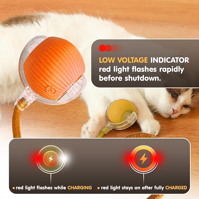 Rocfish Interactive Cat Toy for Indoor Cat, Smart Automatic Cat Chase Ball Toy - Image 8