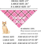 STMK Dog Birthday Outfits - Image 5
