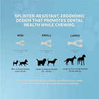 BetterBone - Soft Density - Ideal - Image 6