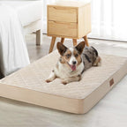 WNPETHOME Orthopedic XL Dog Beds Large Sized Dog, Waterproof Extra Large Dogs by WNPETHOMEPETSHOME