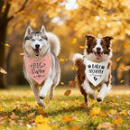 Big Sister&Baby Security in Training Dog Bandana, Dog Bandanas - Image 6