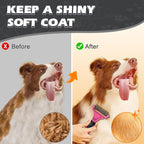 3PCS Pet Grooming Rake & Metal Comb & Flea Comb - Image 6