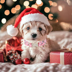 Christmas Dog Collar for Medium Dogs - Image 7