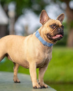 Dynmeow Soft and Breathable Cotton Dog Collar, Durable Adjustable Boy Pet Collar - Image 7