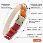 Plutus Pet Genuine Leather & Hemp Dog Collar – Adjustable Heavy Duty Pet Collar - Image 7