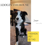 316 Surgical Grade Stainless Steel Personalized Dog & Cat ID Tags - Image 2