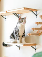FUKUMARU Cat Wall Shelves, 17 x 10 Inch Cat Walls Furniture - Image 7