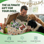 QDAN Dog Soccer Ball Football Set - Image 4