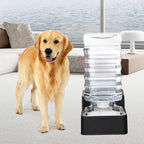 RIZZARI Stainless Steel Pet Water Feeder: 10L Gravity Leak-Proof Auto Refill - Image 7