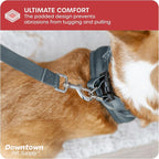 Downtown Pet Supply Step in Dog Harness - Image 6