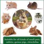 Skylety 15 Pieces Small Animal Chew Balls Rabbits Bunny Treat Chew Toys Guinea - Image 6