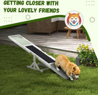 71" Dog Agility Seesaw Outdoor for Training and Exercise, Wooden Platform Dog - Image 5